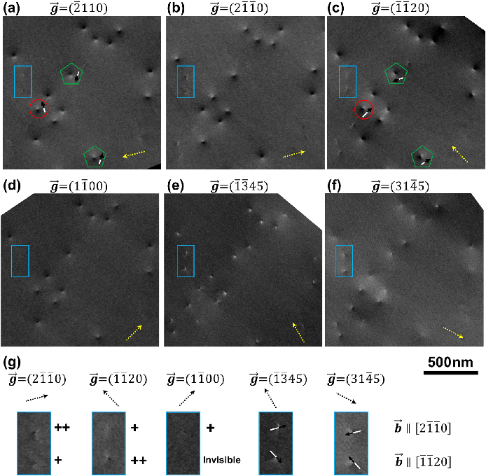 场发射永州扫描电镜