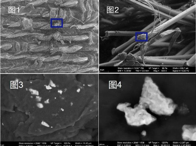 永州蔡司永州扫描电镜