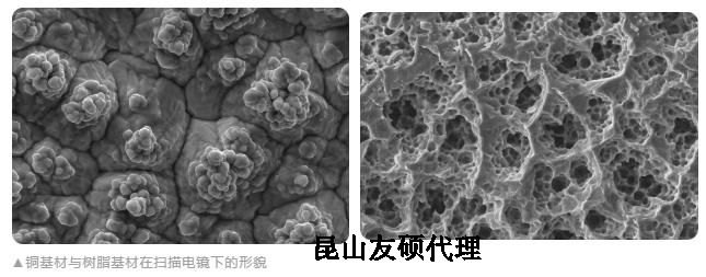 永州蔡司永州扫描电镜